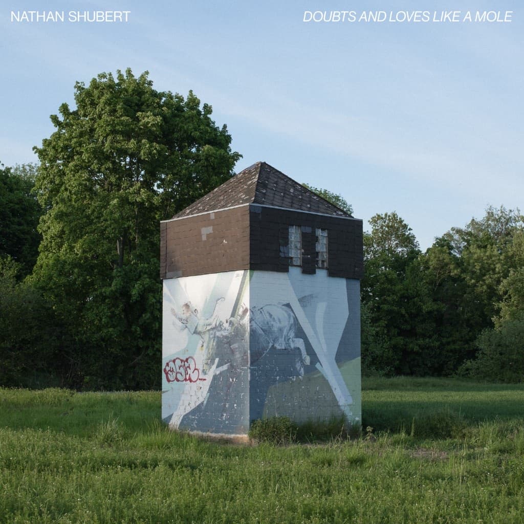 Cover art for Doubts and loves like a mole